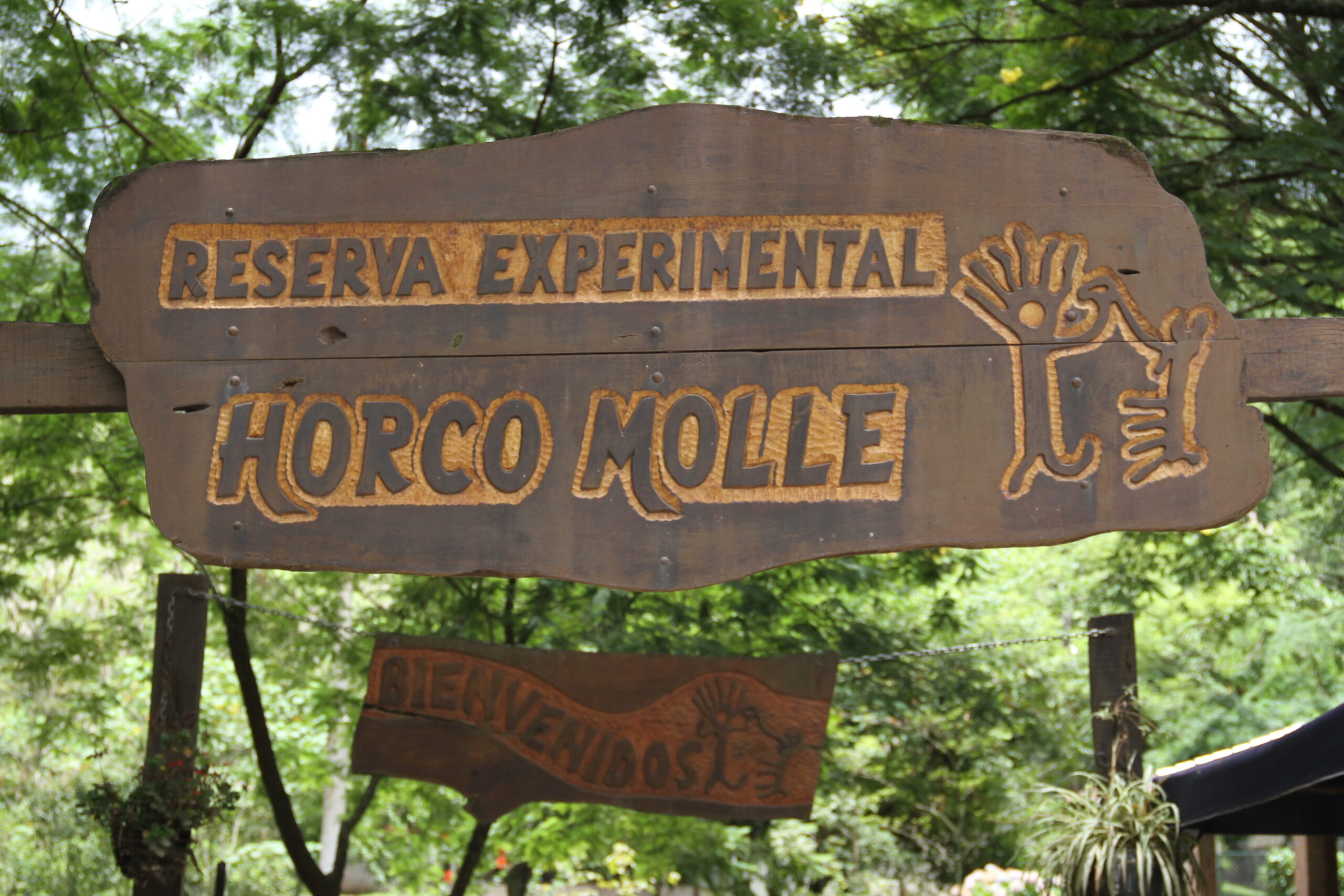 reserva experimental horco molle fotos