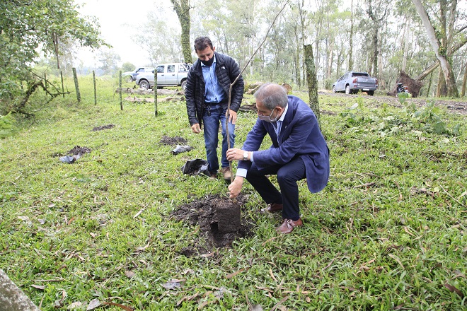 Plantaron árboles en conmemoración de los 45 años del Golpe de 1976