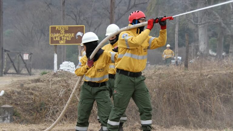 Incendios Forestales, Brigadistas en Acción